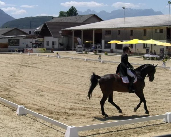 Reitturnier Rankweil 2023