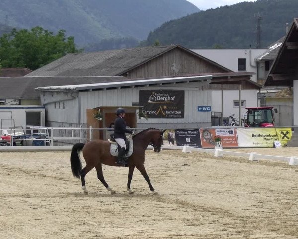 Reitturnier Rankweil 2023