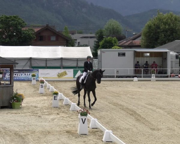Reitturnier Rankweil 2023