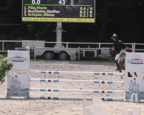Reitturnier Prussendorf 2023