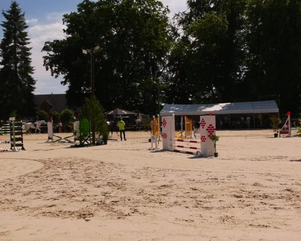 Reitturnier Görlsdorf 2023