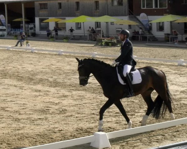 Reitturnier Rankweil 2023