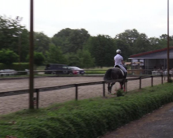 Reitturnier Mönchengladbach - Niershof 2023