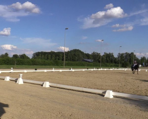 Reitturnier Münster-Roxel 2023