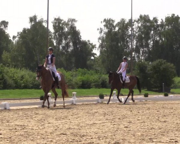 Reitturnier Münster-Roxel 2023
