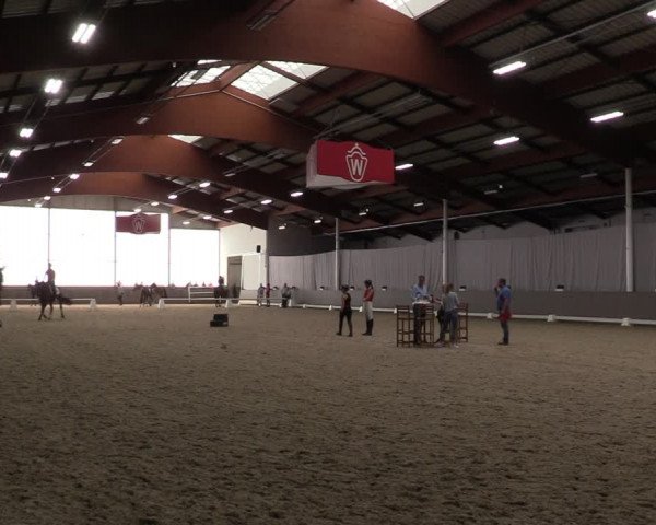 Westfälische Stutenleistungsprüfung Münster-Handorf 2023