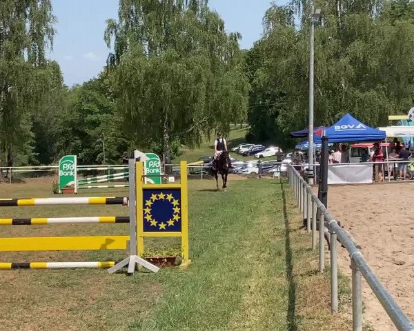 Reitturnier Höpfingen 2023
