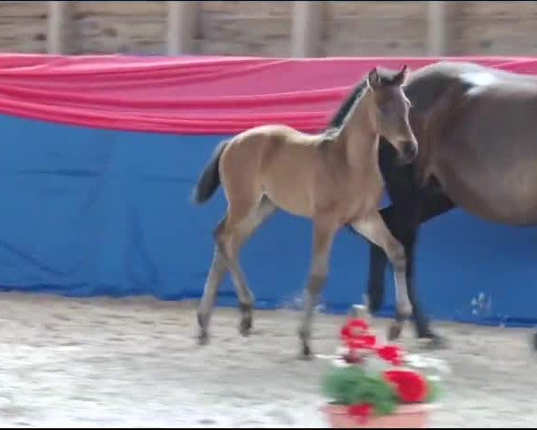 Video von Florina von Flamion