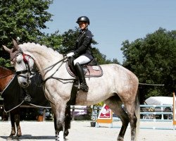 jumper Quantana 33 (German Warmblood, 2017, from Quasimodo vd Molendreef)