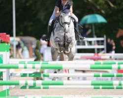jumper Lopez H (Oldenburg show jumper, 2013, from Lord Pezi Junior)
