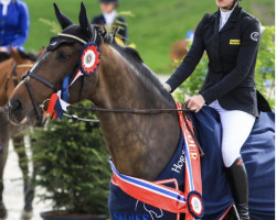 jumper Karmen Raa (Swedish Warmblood, 2007, from Camaro M)