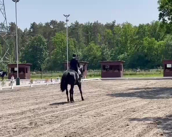 Wideo od Hugh Grant 3