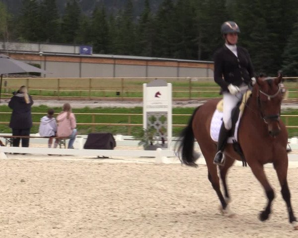 Reitturnier St. Ulrich am Pillersee 2023