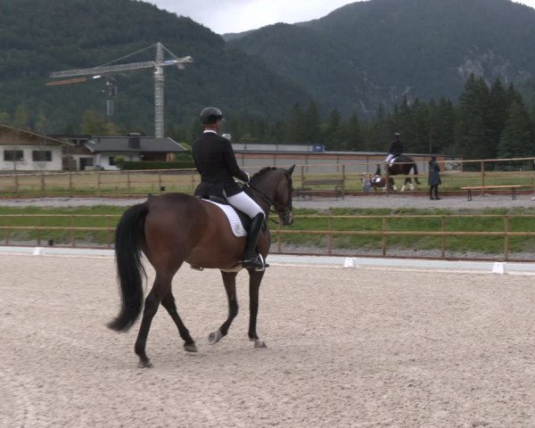 Reitturnier St. Ulrich am Pillersee 2023