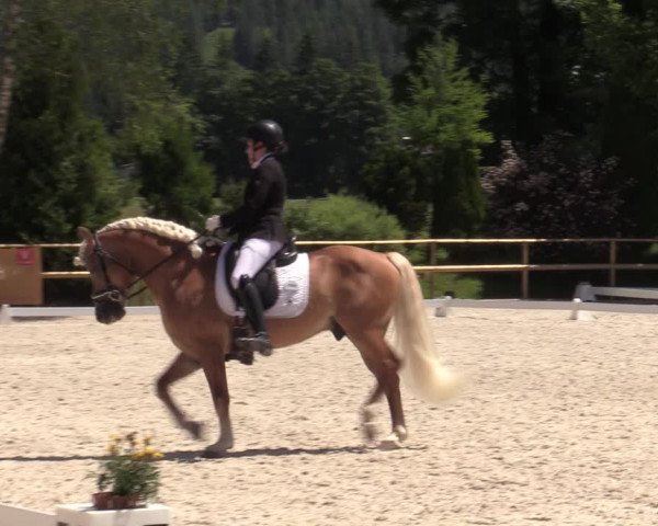 Reitturnier St. Ulrich am Pillersee 2023