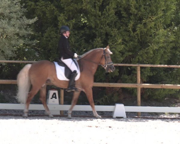 Reitturnier St. Ulrich am Pillersee 2023