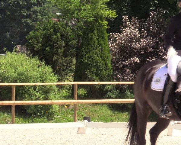 Reitturnier St. Ulrich am Pillersee 2023