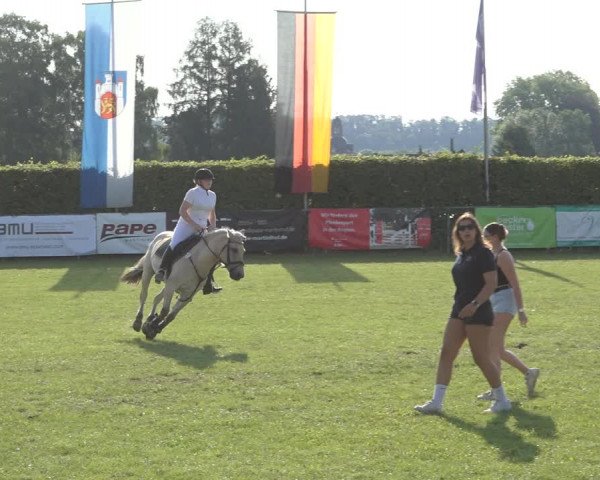 Reitturnier Moringen 2023