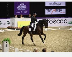 Dressurpferd Hestegaardens Supreme (Dänisches Warmblut, 2006, von Florencio I)