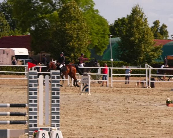 Reitturnier Neustadt/Dosse 2023