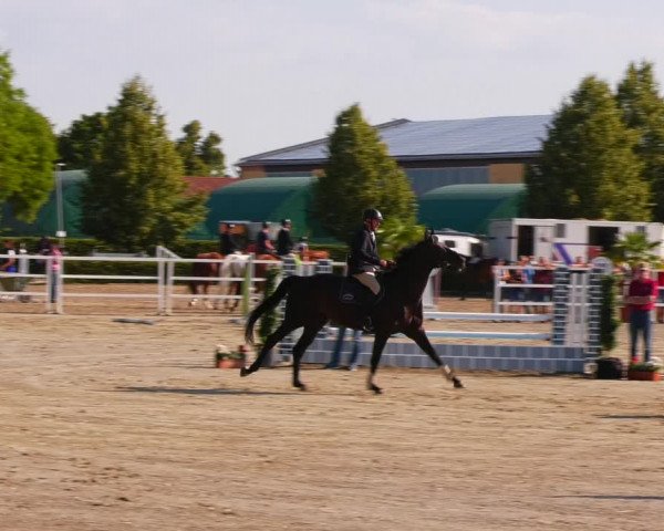 Reitturnier Neustadt/Dosse 2023