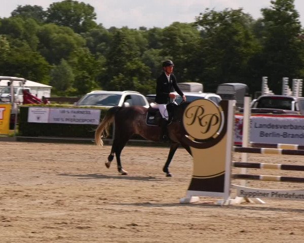 Reitturnier Neustadt/Dosse 2023