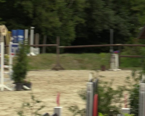 Reitturnier Marienheide-Kempershöhe 2023