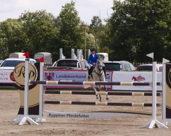Reitturnier Neustadt/Dosse 2023