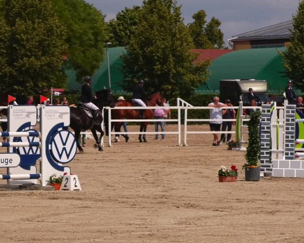 Reitturnier Neustadt/Dosse 2023