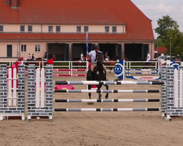 Reitturnier Neustadt/Dosse 2023