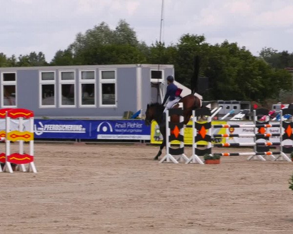 Reitturnier Neustadt/Dosse 2023