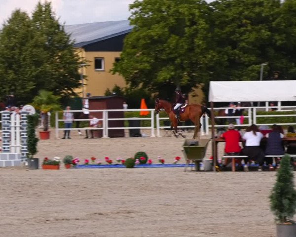 Reitturnier Neustadt/Dosse 2023