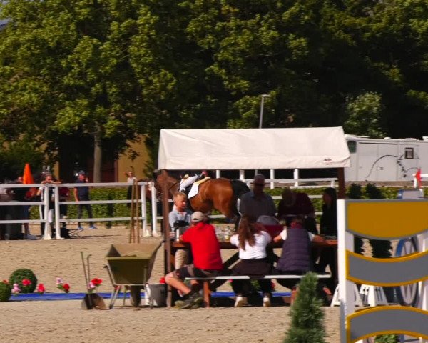 Reitturnier Neustadt/Dosse 2023