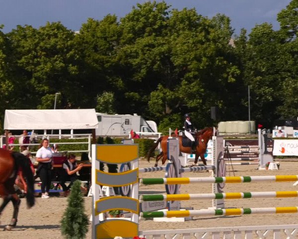 Reitturnier Neustadt/Dosse 2023