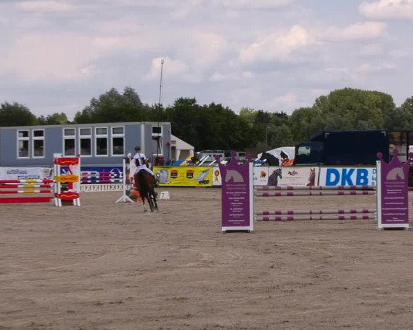 Reitturnier Neustadt/Dosse 2023