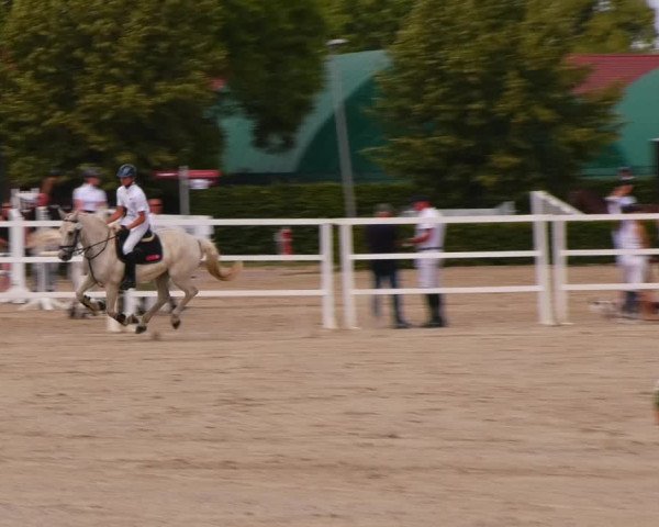 Reitturnier Neustadt/Dosse 2023