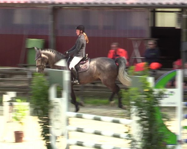 Reitturnier Marienheide-Kempershöhe 2023
