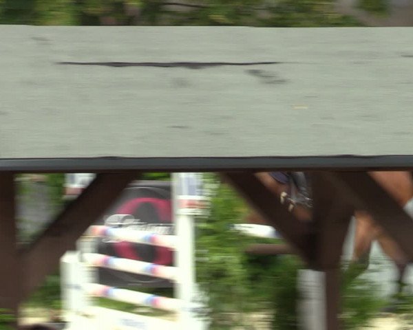 Reitturnier Marienheide-Kempershöhe 2023