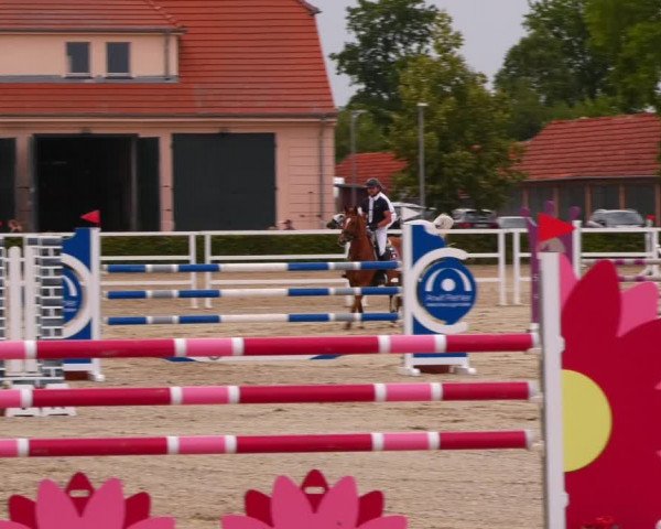 Reitturnier Neustadt/Dosse 2023