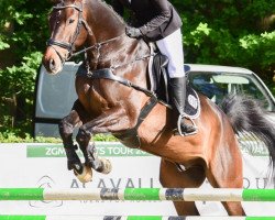 jumper Cocoloco F (Westphalian, 2016, from Cascavelle NT)