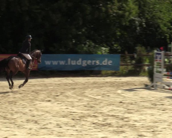 Reitturnier Marienheide-Kempershöhe 2023