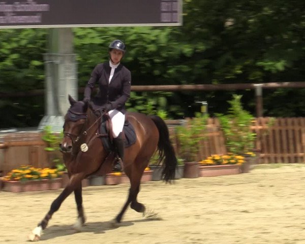 Reitturnier Marienheide-Kempershöhe 2023