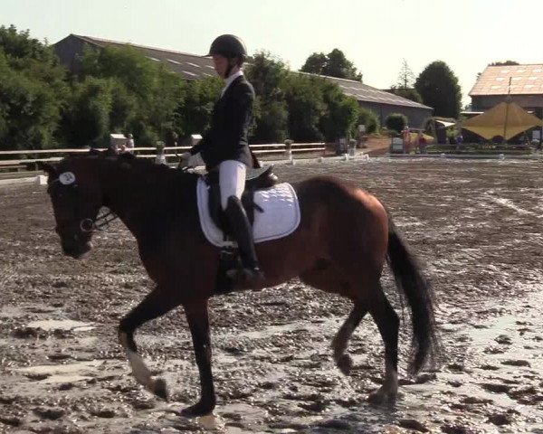 Reitturnier Kleinsolt 2023