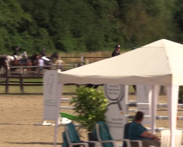 Reitturnier Hemer 2023