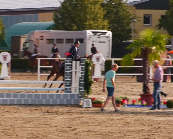 Reitturnier Neustadt/Dosse 2023