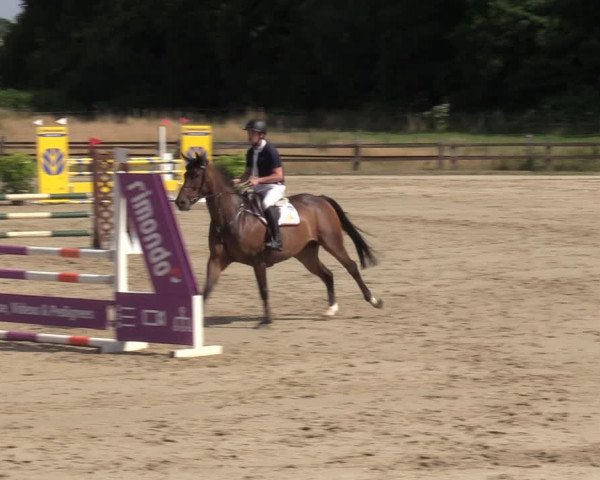 Reitturnier Hemer 2023
