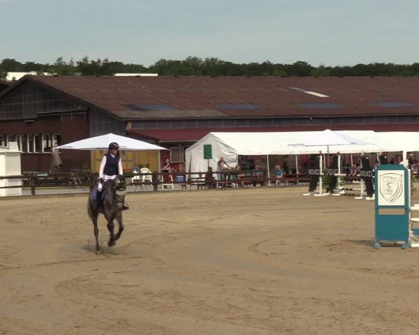 Reitturnier Hemer 2023
