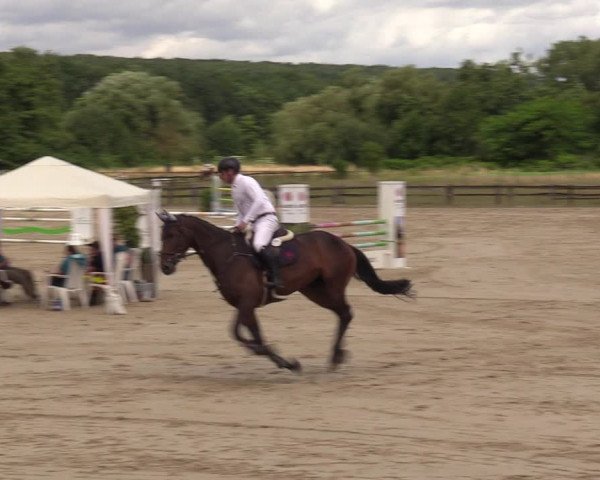 Reitturnier Hemer 2023