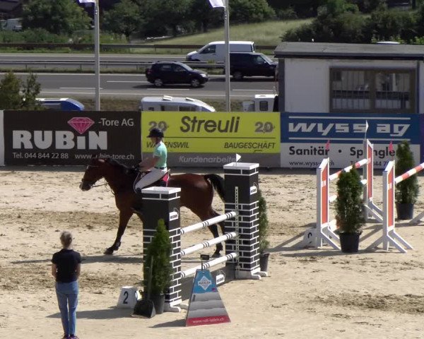 Reitturnier Wädenswil 2023
