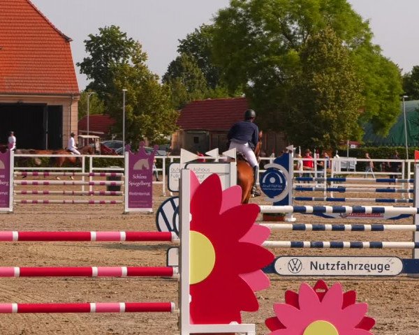 Reitturnier Neustadt/Dosse 2023